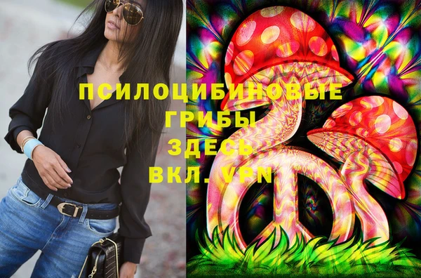 соль ск Сатка